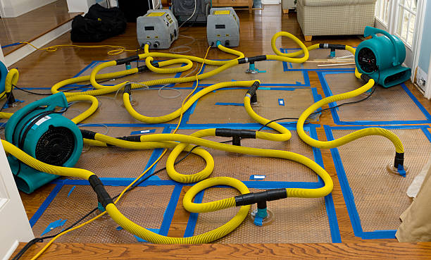 Professional Water Damage Repair technician working in Jeffersonville, OH